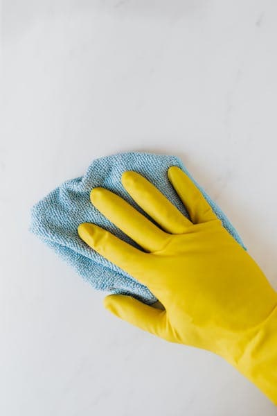 Oferta: 15% en primera limpieza